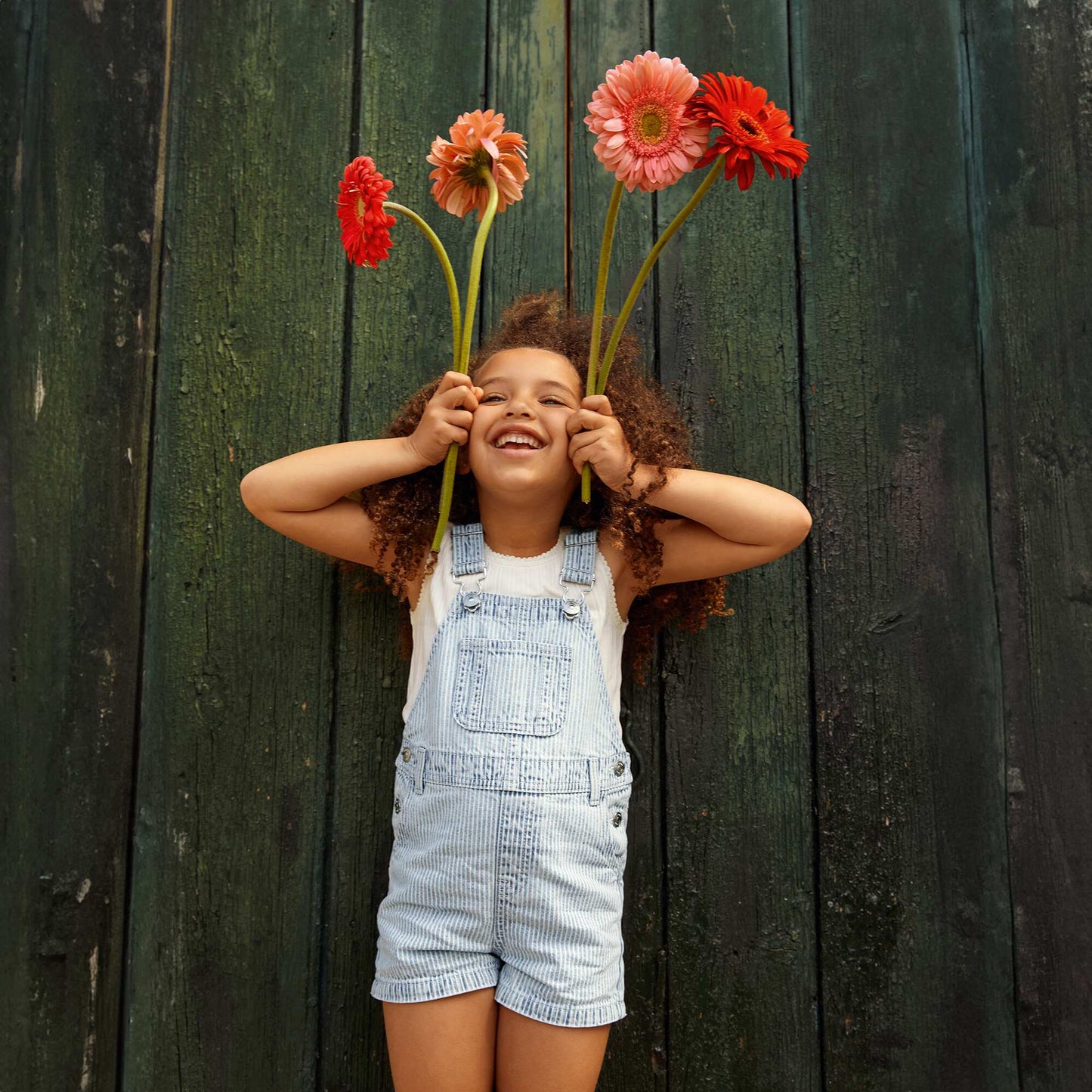 Dungaree shorts BLUE