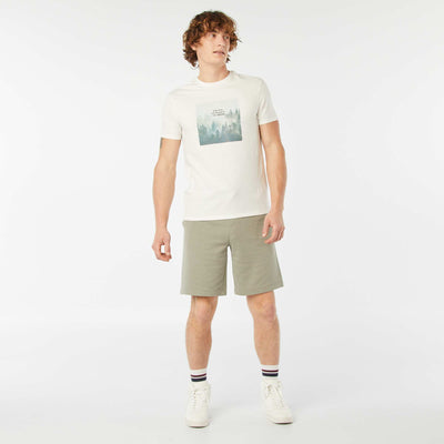 Plain Bermuda short joggers GREEN